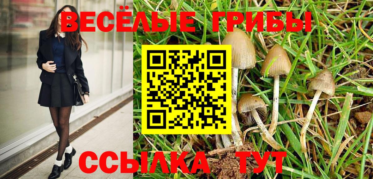 Галлюциногенные грибы Cubensis  Галлюциногенные грибы ЛСД  Гусь-Хрустальный  Вход с VPN 